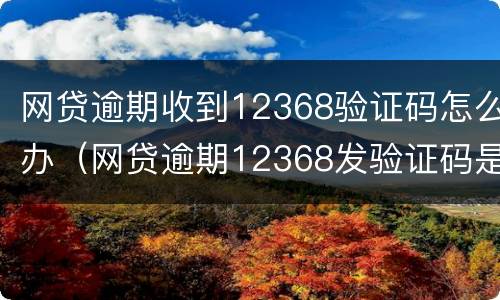 网贷逾期收到12368验证码怎么办（网贷逾期12368发验证码是什么意思）