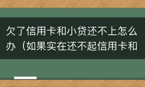欠了信用卡和小贷还不上怎么办（如果实在还不起信用卡和贷款怎么办）