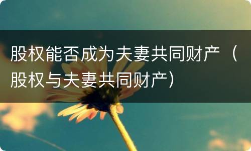 股权能否成为夫妻共同财产（股权与夫妻共同财产）