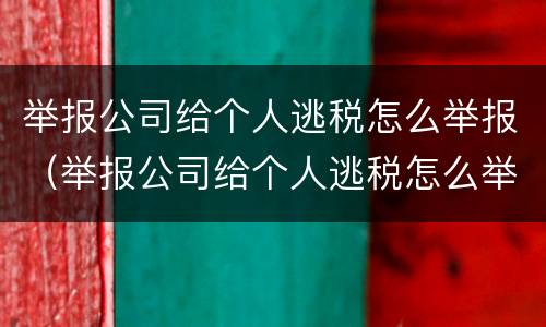 举报公司给个人逃税怎么举报（举报公司给个人逃税怎么举报他）