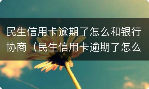 民生信用卡逾期了怎么和银行协商（民生信用卡逾期了怎么和银行协商还本金）