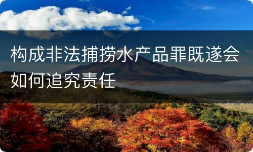 构成非法捕捞水产品罪既遂会如何追究责任