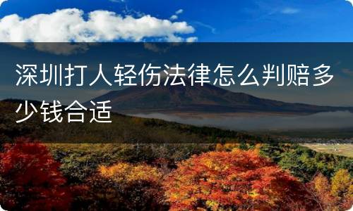 深圳打人轻伤法律怎么判赔多少钱合适