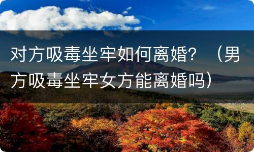 对方吸毒坐牢如何离婚？（男方吸毒坐牢女方能离婚吗）