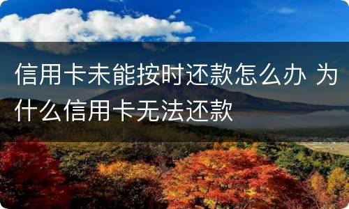 信用卡未能按时还款怎么办 为什么信用卡无法还款