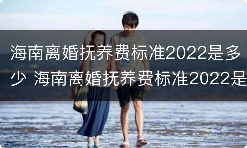 海南离婚抚养费标准2022是多少 海南离婚抚养费标准2022是多少呢