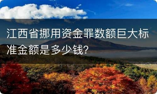 江西省挪用资金罪数额巨大标准金额是多少钱？