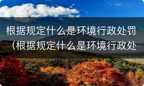 根据规定什么是环境行政处罚（根据规定什么是环境行政处罚种类）