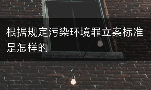 根据规定污染环境罪立案标准是怎样的