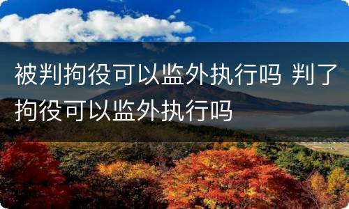 被判拘役可以监外执行吗 判了拘役可以监外执行吗