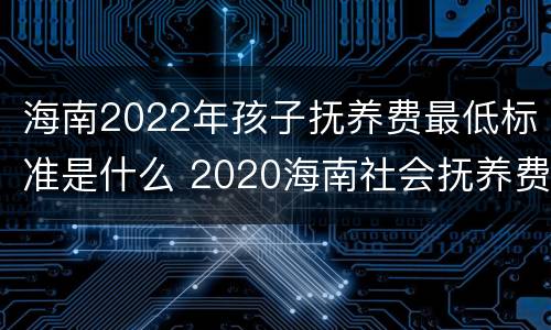 海南2022年孩子抚养费最低标准是什么 2020海南社会抚养费多少钱