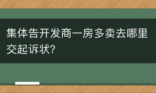 集体告开发商一房多卖去哪里交起诉状？