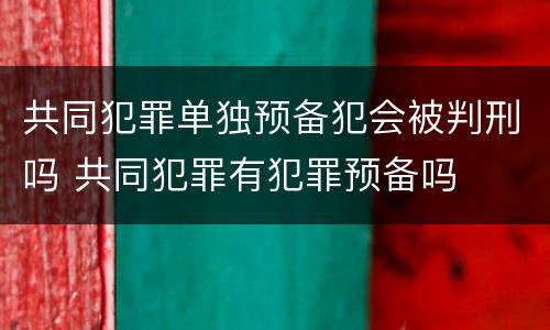 共同犯罪单独预备犯会被判刑吗 共同犯罪有犯罪预备吗