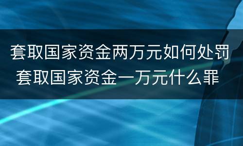套取国家资金两万元如何处罚 套取国家资金一万元什么罪