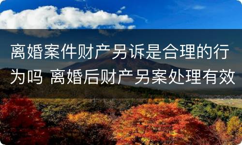 离婚案件财产另诉是合理的行为吗 离婚后财产另案处理有效期