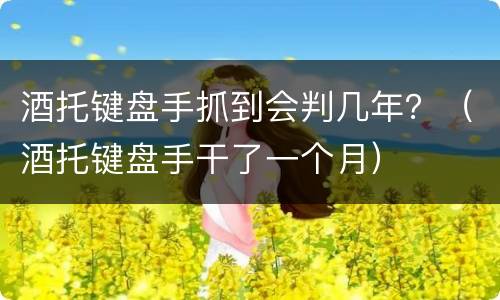 酒托键盘手抓到会判几年？（酒托键盘手干了一个月）