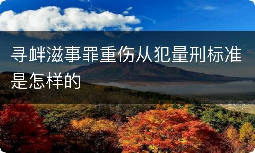 寻衅滋事罪重伤从犯量刑标准是怎样的