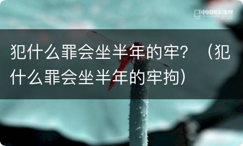犯什么罪会坐半年的牢？（犯什么罪会坐半年的牢拘）