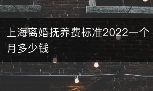 上海离婚抚养费标准2022一个月多少钱