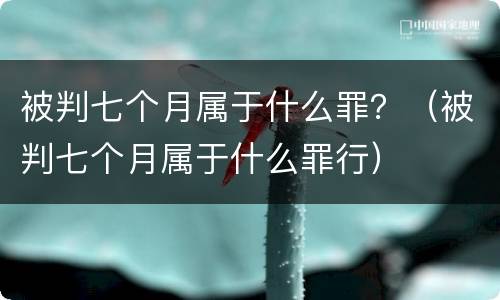 被判七个月属于什么罪？（被判七个月属于什么罪行）