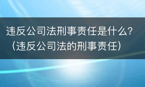 违反公司法刑事责任是什么？（违反公司法的刑事责任）