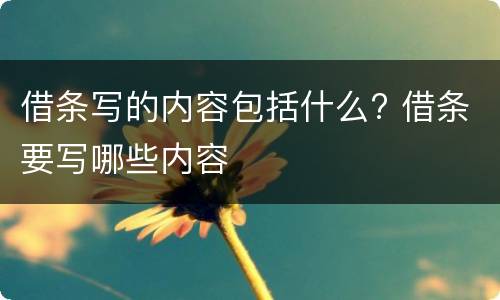 借条写的内容包括什么? 借条要写哪些内容