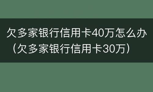 欠多家银行信用卡40万怎么办（欠多家银行信用卡30万）