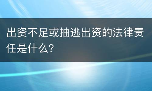 出资不足或抽逃出资的法律责任是什么？