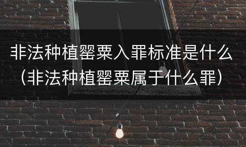 非法种植罂粟入罪标准是什么（非法种植罂粟属于什么罪）