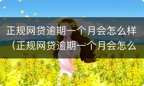 正规网贷逾期一个月会怎么样（正规网贷逾期一个月会怎么样呢）