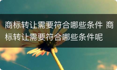 商标转让需要符合哪些条件 商标转让需要符合哪些条件呢