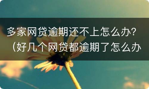 多家网贷逾期还不上怎么办？（好几个网贷都逾期了怎么办）