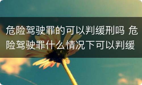危险驾驶罪的可以判缓刑吗 危险驾驶罪什么情况下可以判缓刑