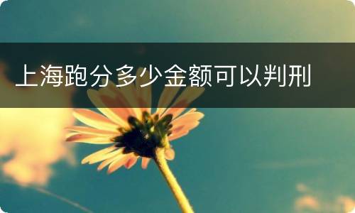 上海跑分多少金额可以判刑
