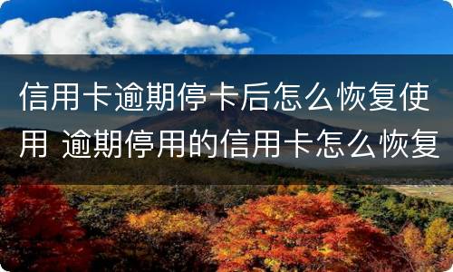 信用卡逾期停卡后怎么恢复使用 逾期停用的信用卡怎么恢复