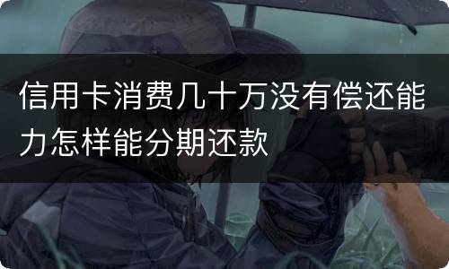 信用卡消费几十万没有偿还能力怎样能分期还款