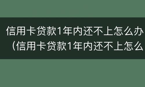 信用卡贷款1年内还不上怎么办（信用卡贷款1年内还不上怎么办呢）