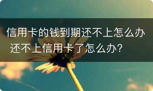 信用卡的钱到期还不上怎么办 还不上信用卡了怎么办?