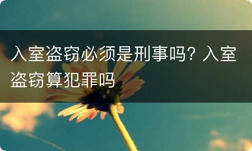入室盗窃必须是刑事吗? 入室盗窃算犯罪吗