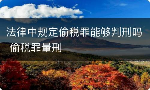 法律中规定偷税罪能够判刑吗 偷税罪量刑