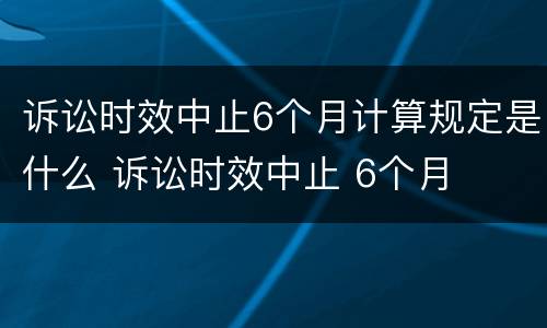 诉讼时效中止6个月计算规定是什么 诉讼时效中止 6个月