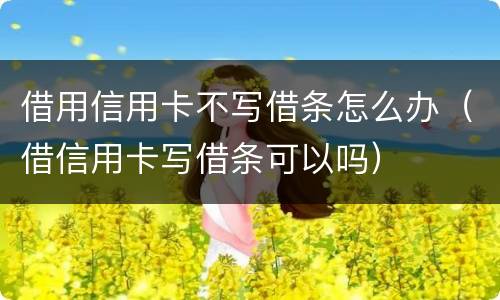 借用信用卡不写借条怎么办（借信用卡写借条可以吗）