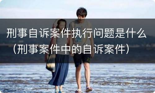 刑事自诉案件执行问题是什么（刑事案件中的自诉案件）