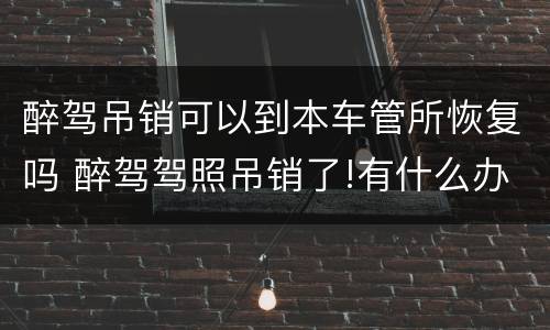 醉驾吊销可以到本车管所恢复吗 醉驾驾照吊销了!有什么办法补办