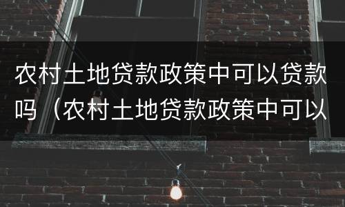 农村土地贷款政策中可以贷款吗（农村土地贷款政策中可以贷款吗现在）