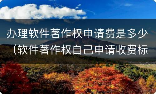 办理软件著作权申请费是多少（软件著作权自己申请收费标准）