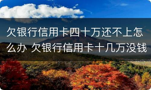 欠银行信用卡四十万还不上怎么办 欠银行信用卡十几万没钱还怎么办?