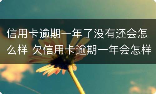 信用卡逾期一年了没有还会怎么样 欠信用卡逾期一年会怎样