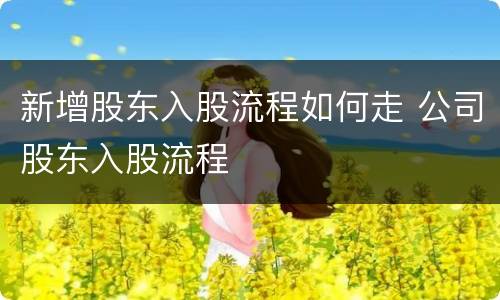 新增股东入股流程如何走 公司股东入股流程