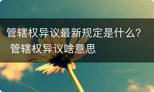 管辖权异议最新规定是什么？ 管辖权异议啥意思